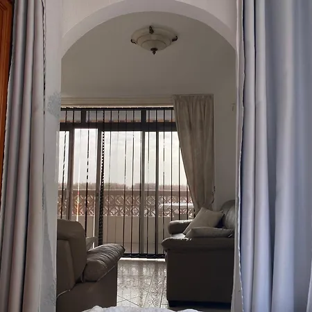 Flamingo * パルム・マール